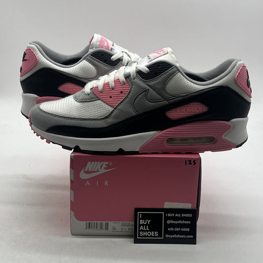 Size 13 - Nike Air Max 90 Rose Pink (CD0881-101)