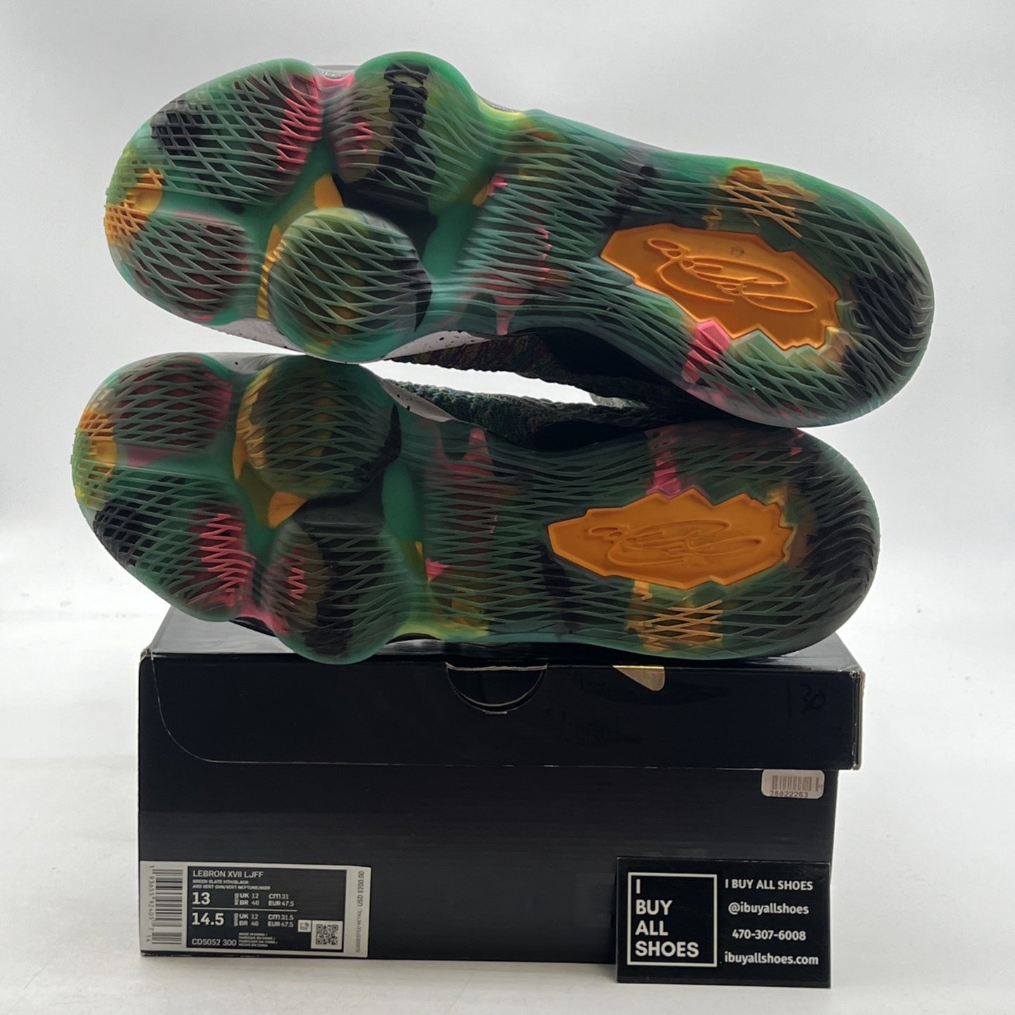 Size 13 - Nike LeBron 17 I Promise (CD5052-300)