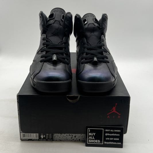 Size 9.5 - Air Jordan 6 Retro All Star - Chameleon (907961-015)
