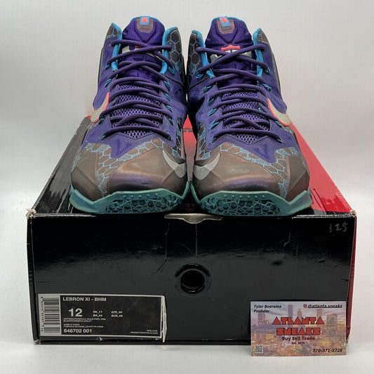 Size 12 - Nike LeBron 11 Hornets Purple Blue (616175-500)