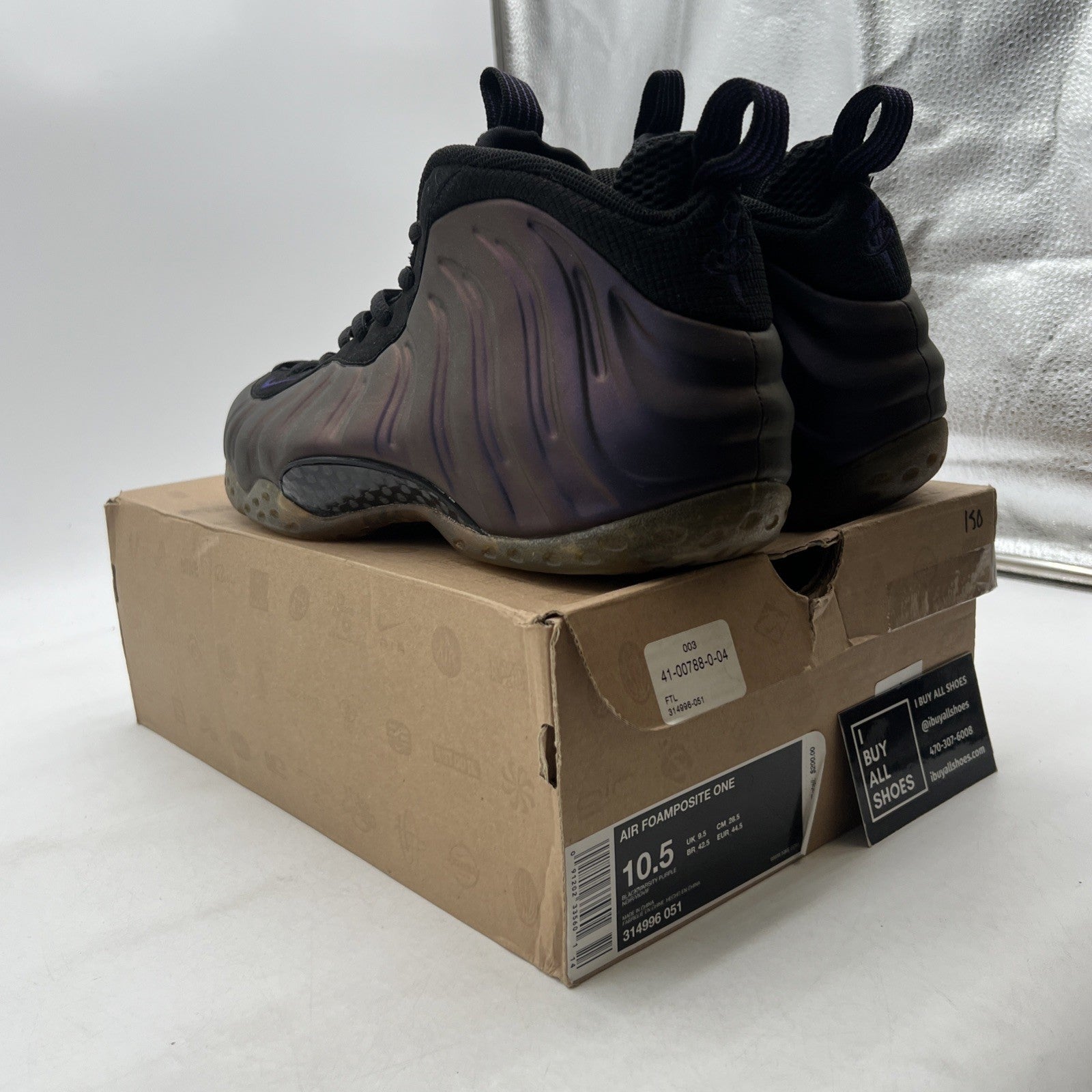 Size 10.5 - Nike Air Foamposite One 2010 Eggplant (314996-051)