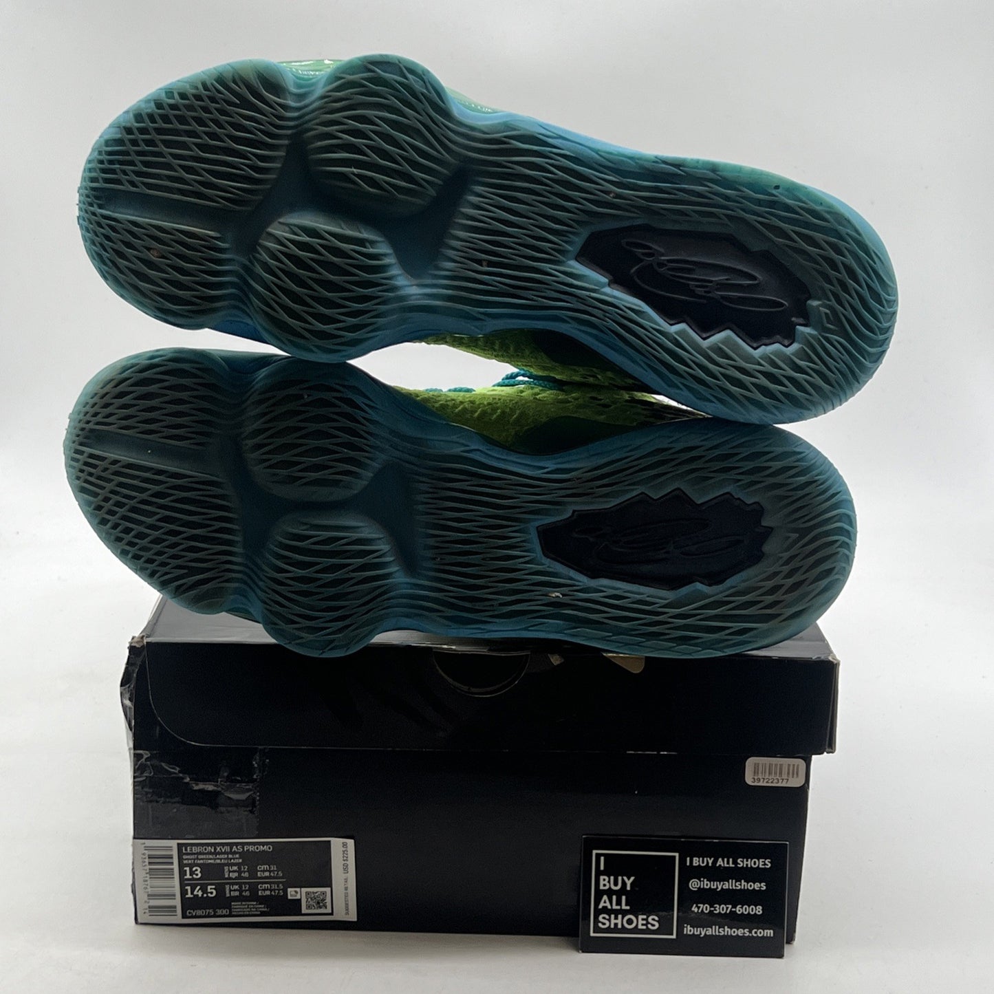 Size 13 - Nike LeBron 17 Mr. Swackhammer (CV8075-300)