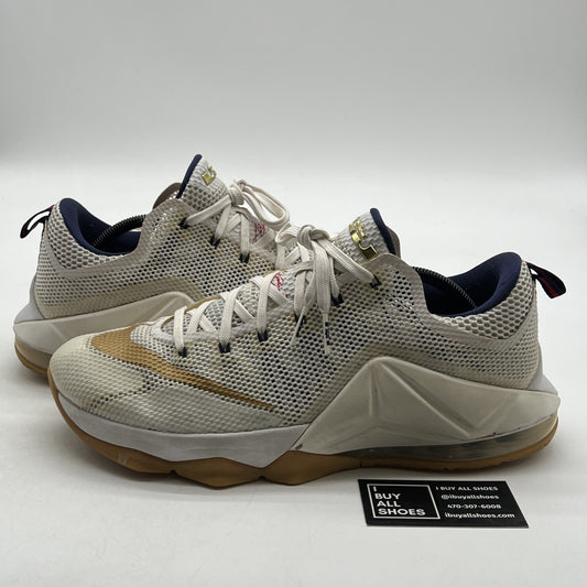 Size 12 - Nike LeBron 12 Low USA (724557-174)