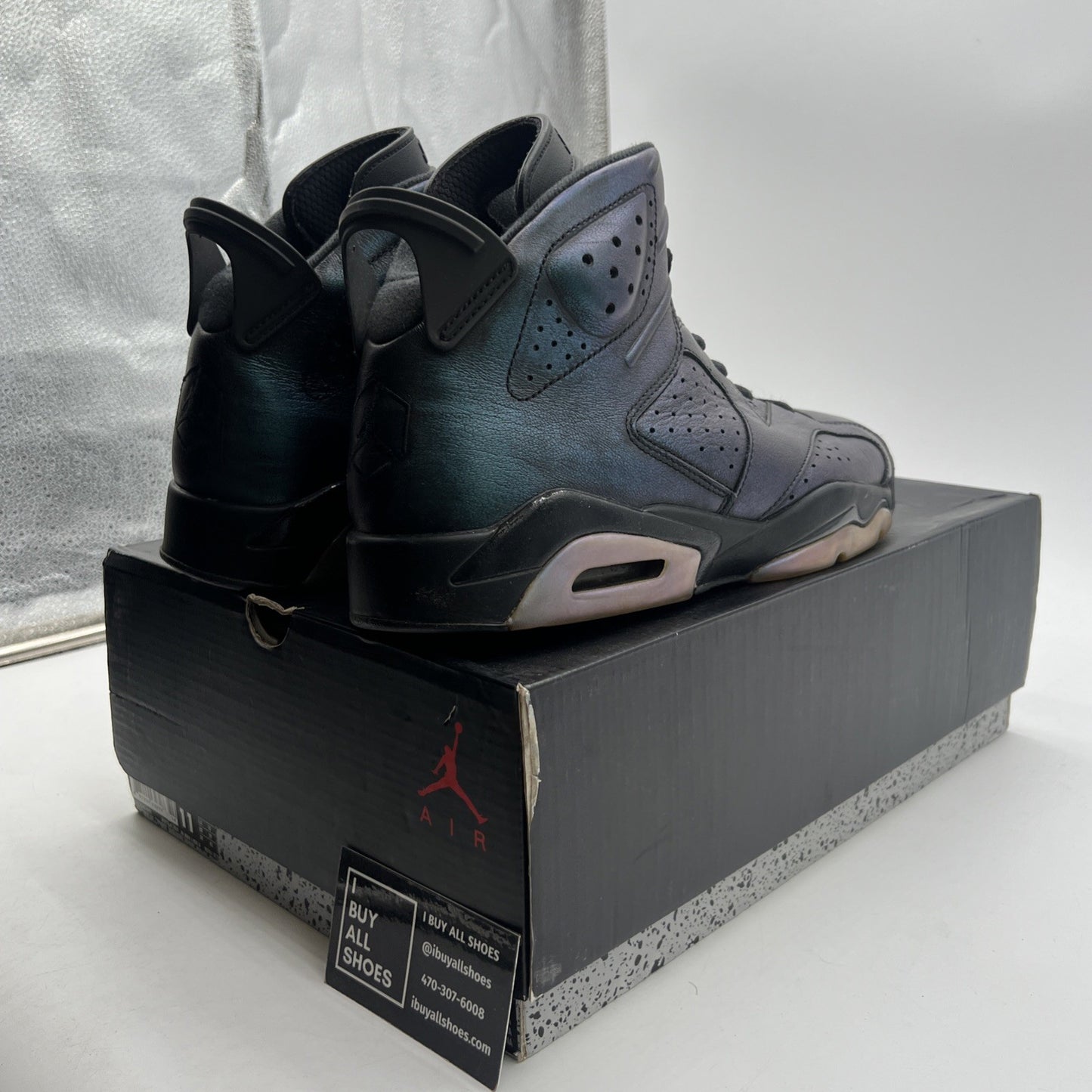 Size 11 - Air Jordan 6 Retro All Star - Chameleon (906961-015)