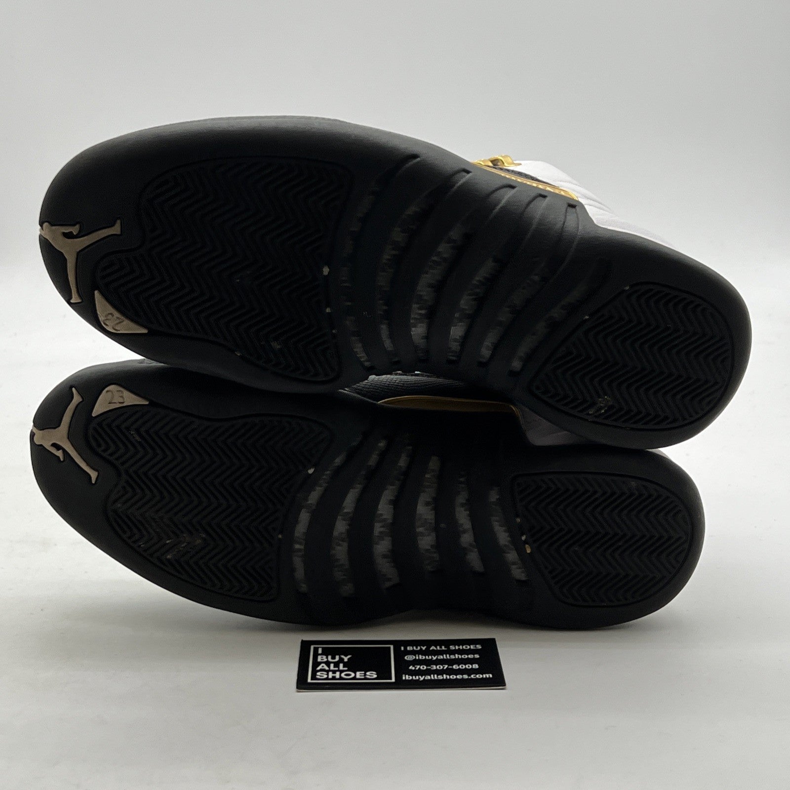 Size 11 - Air Jordan 12 Royalty (CT8013-170)