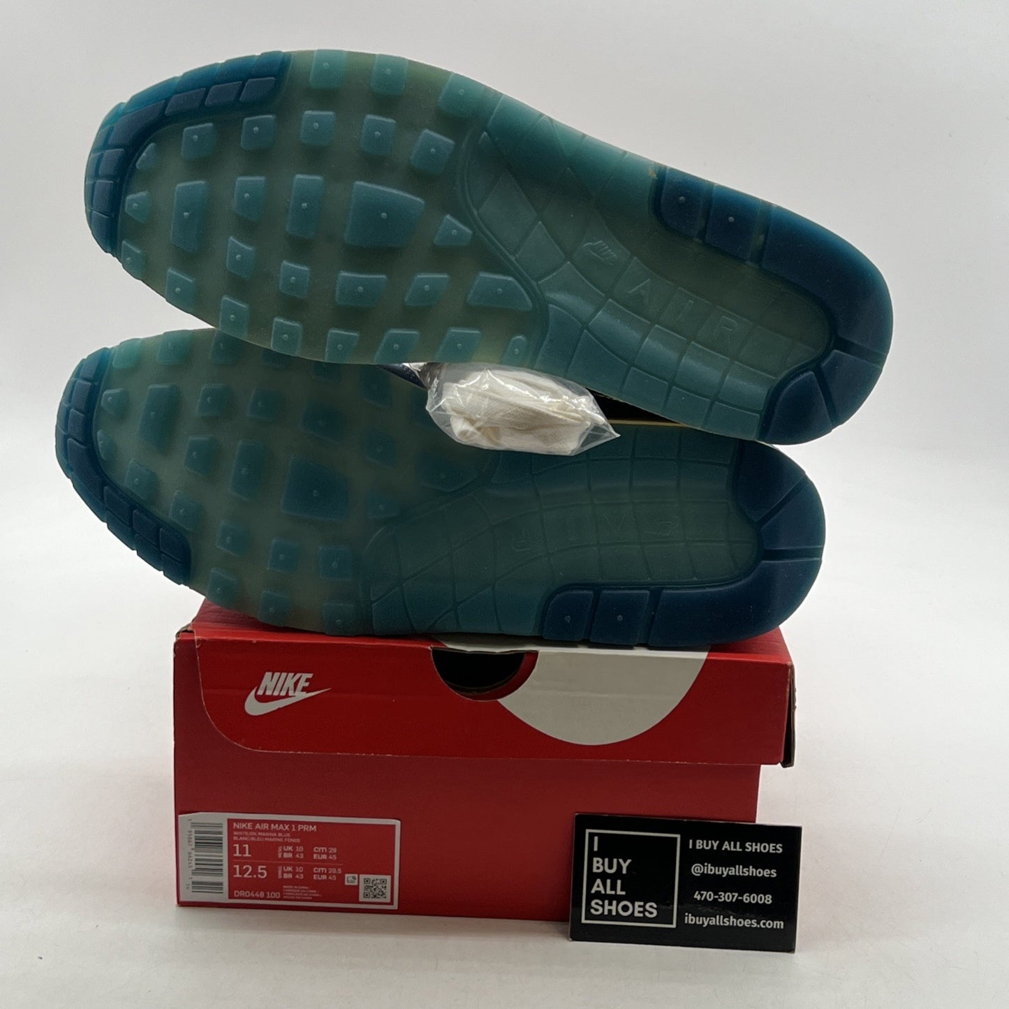 Size 11 - Nike Air Max 1 Premium Air Max Day - Blueprint (DR0448-100)