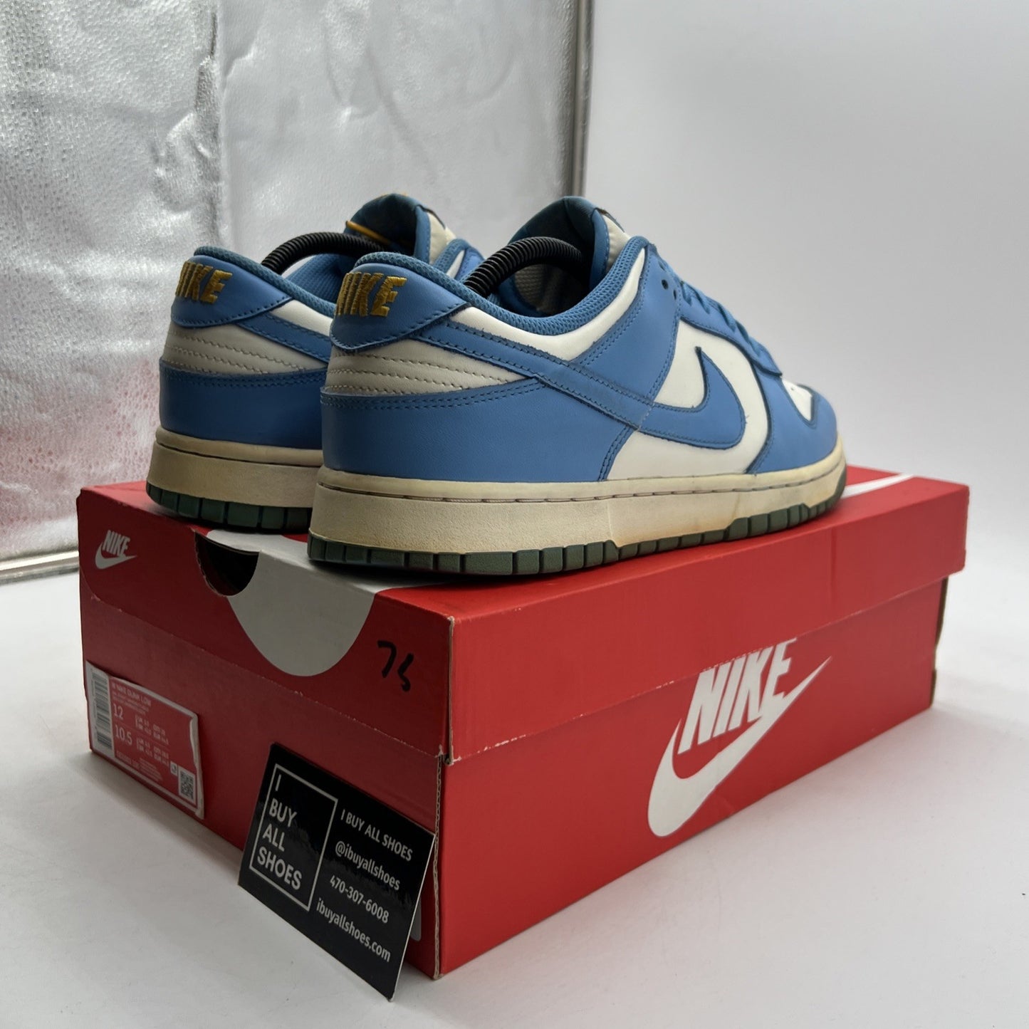 Size 12 - Nike Dunk Low Coast W (DD1503-100)