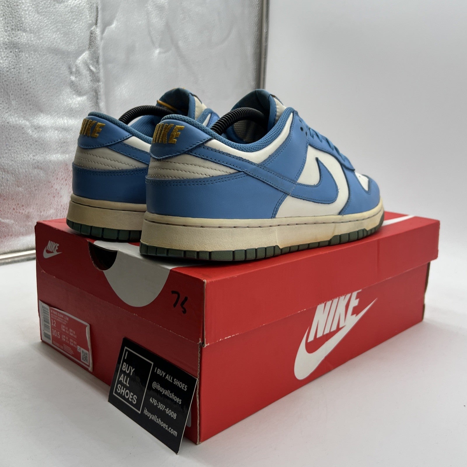 Size 12 - Nike Dunk Low Coast W (DD1503-100)