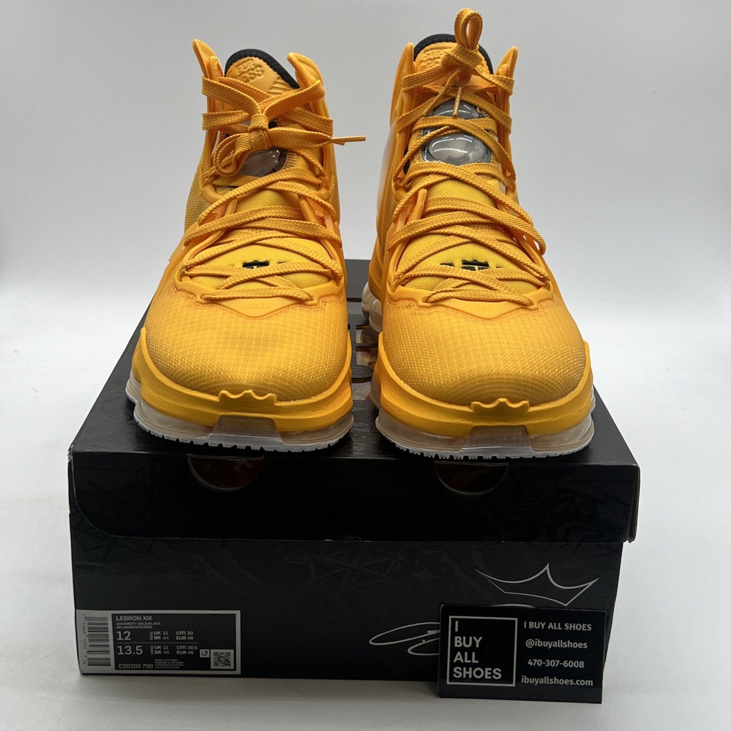 Size 12 - Nike LeBron 19 Hard Hat (CZ0203-700)
