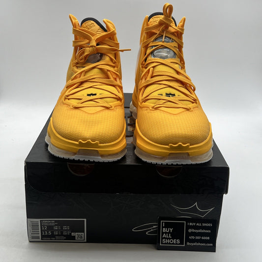 Size 12 - Nike LeBron 19 Hard Hat (CZ0203-700)