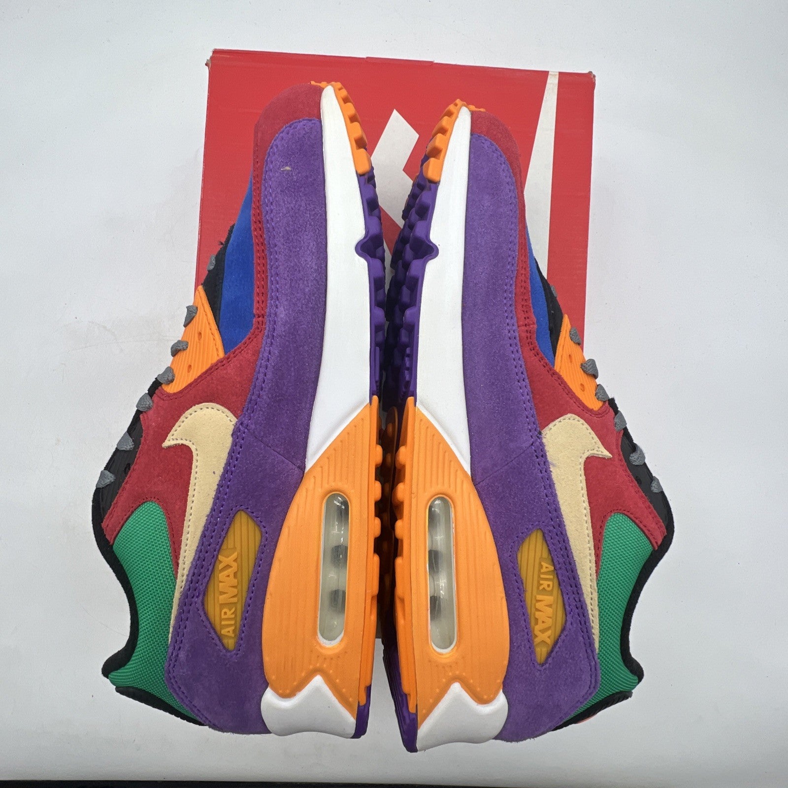 Size 12 - Nike Air Max 90 Viotech (CD0917-600)
