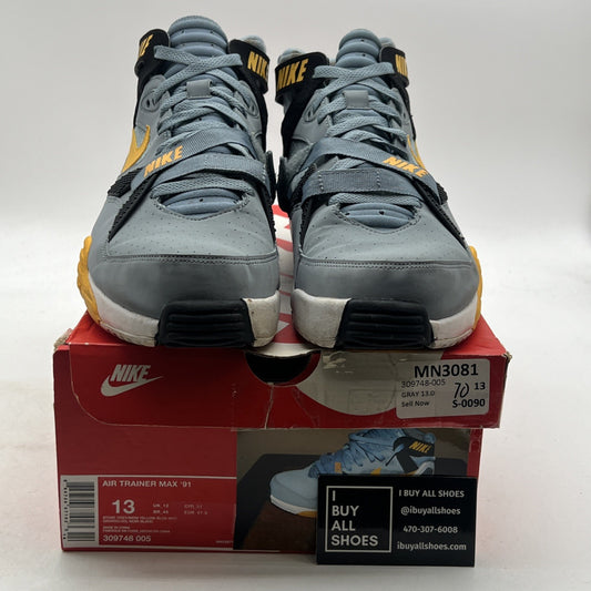 Size 13 - Nike Air Trainer Max 91 Gray (309748-005)