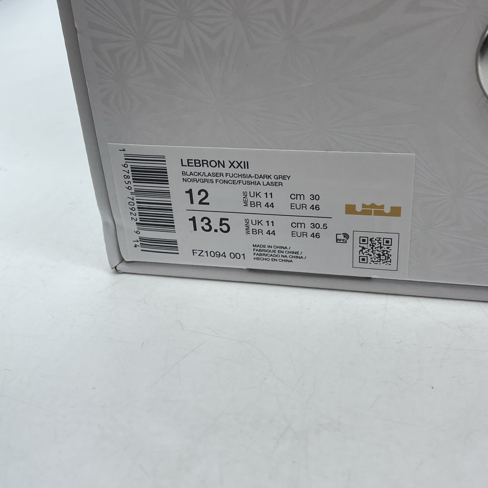 Size 12 - Nike LeBron 22 Blacklight (FZ1094-001)