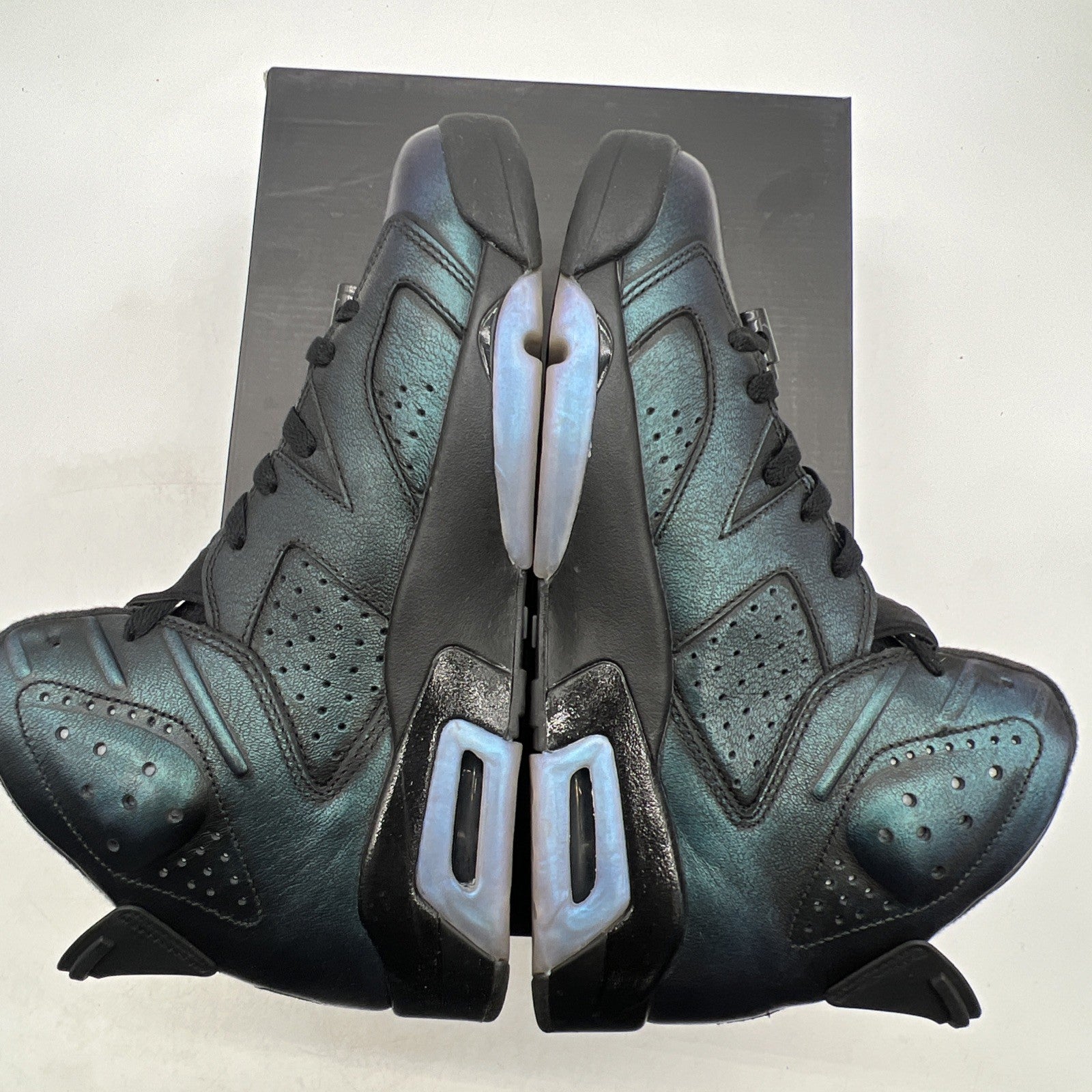Size 9.5 - Air Jordan 6 Retro All Star - Chameleon (907961-015)