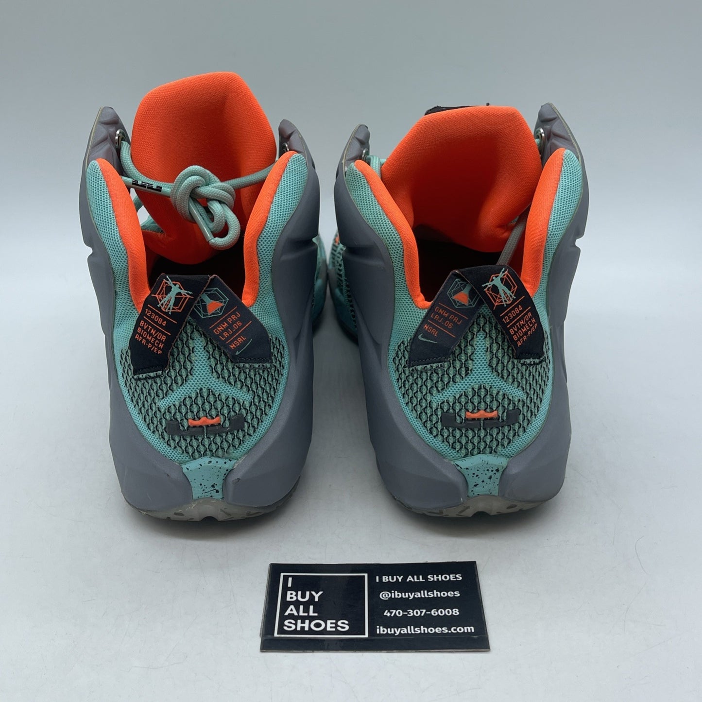 Size 13 - Nike LeBron 12 NSRL (684593-301)
