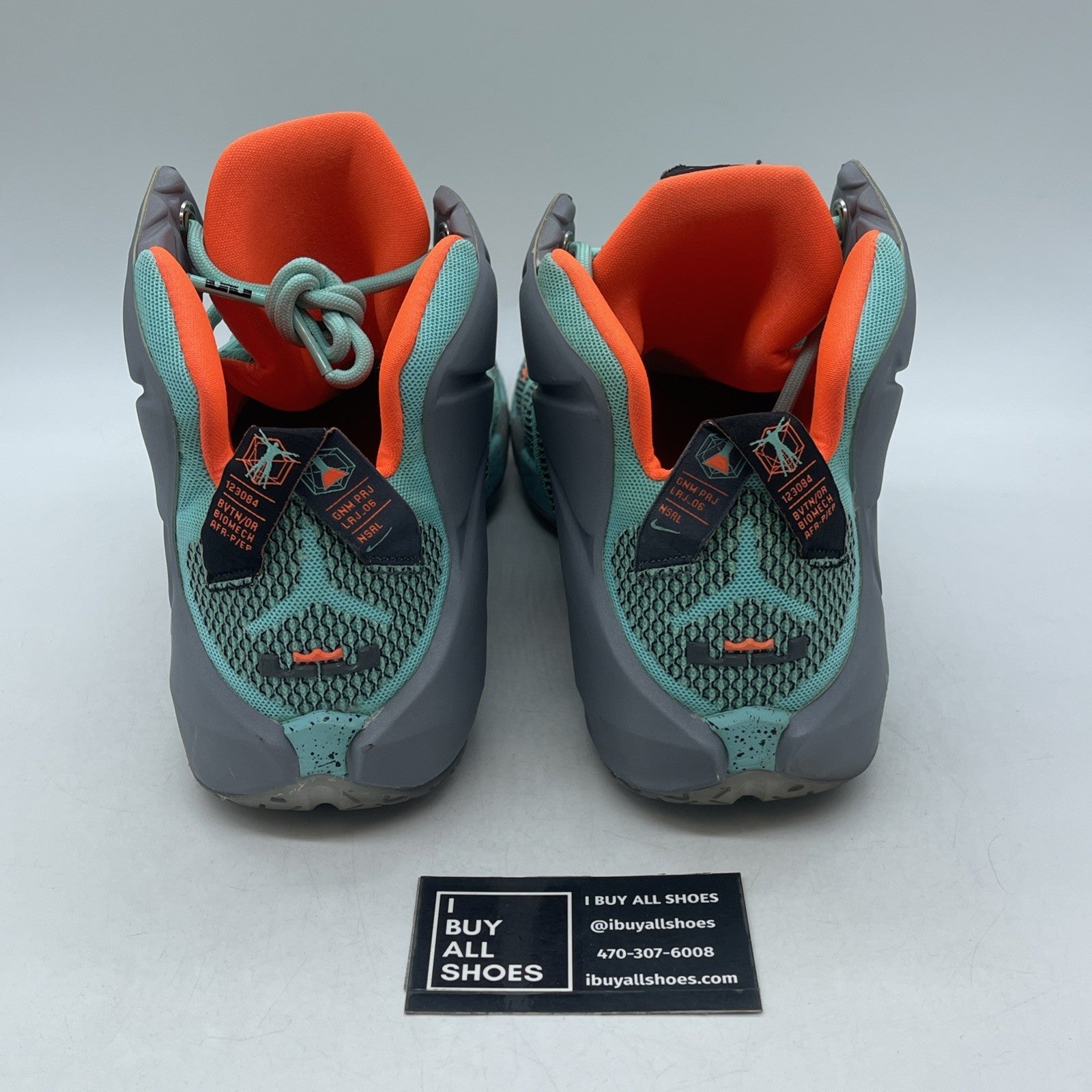 Size 13 - Nike LeBron 12 NSRL (684593-301)