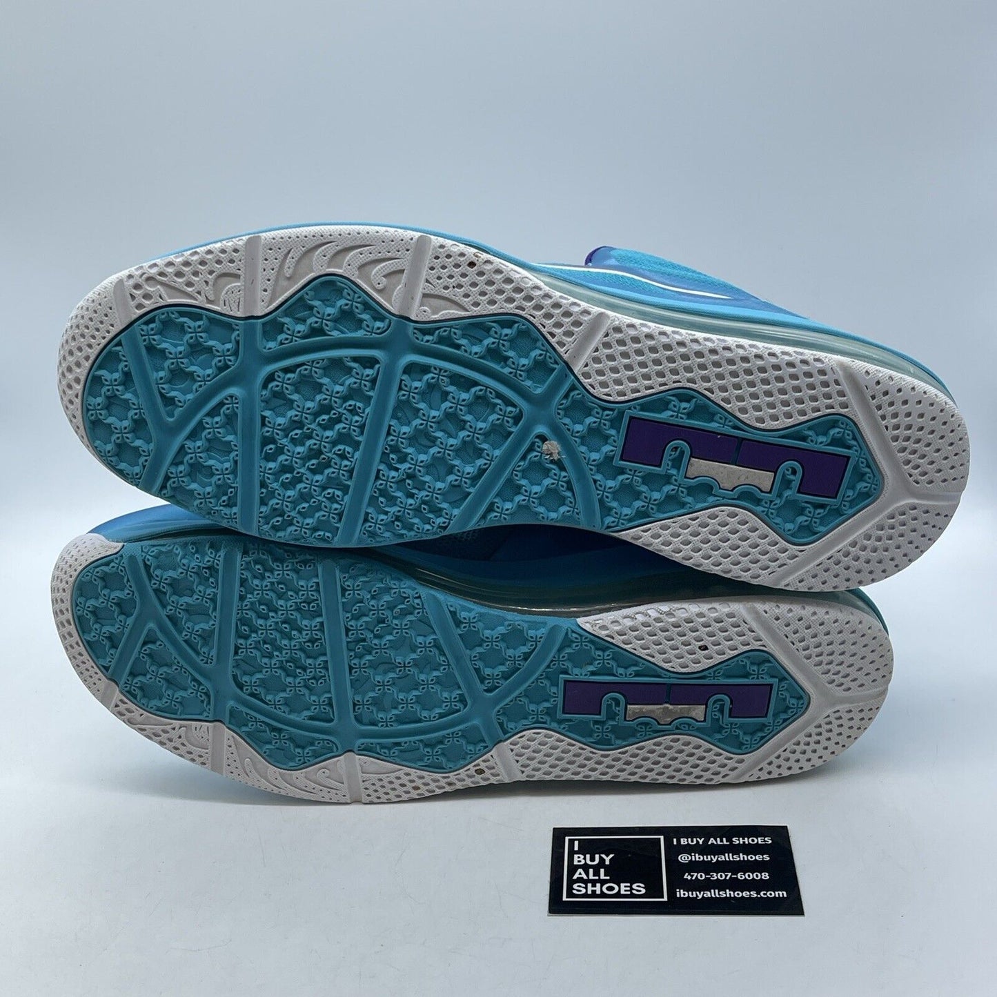 Size 13 - Nike LeBron 9 Low Summit Lake Hornets Blue Purple (510811-400)
