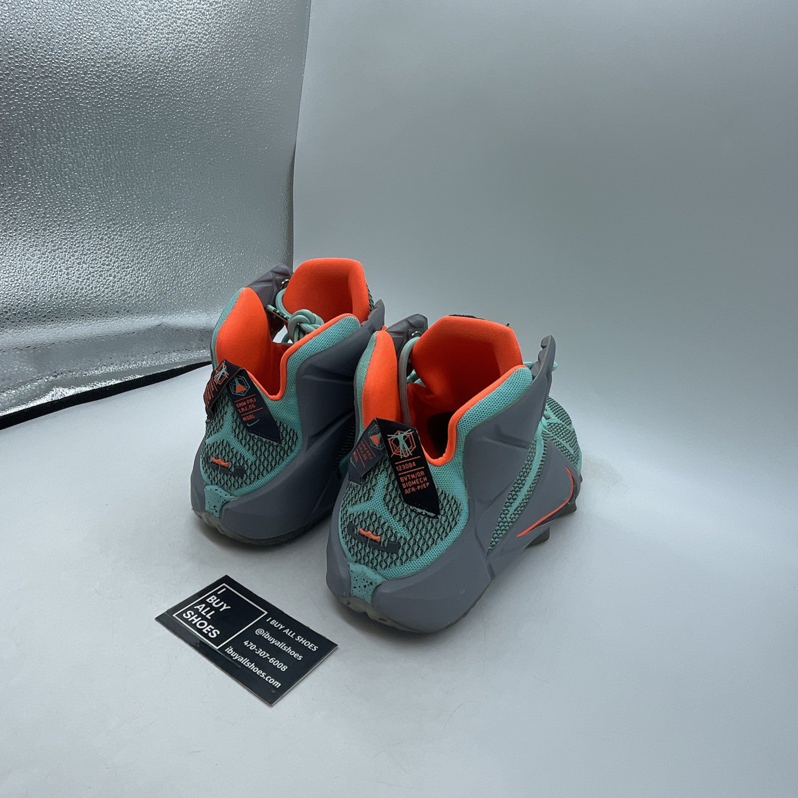 Size 13 - Nike LeBron 12 NSRL (684593-301)