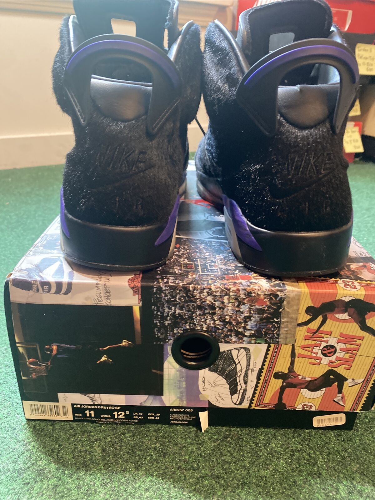 Size 11 - Jordan 6 Retro x Social Status Pony Hair 2019