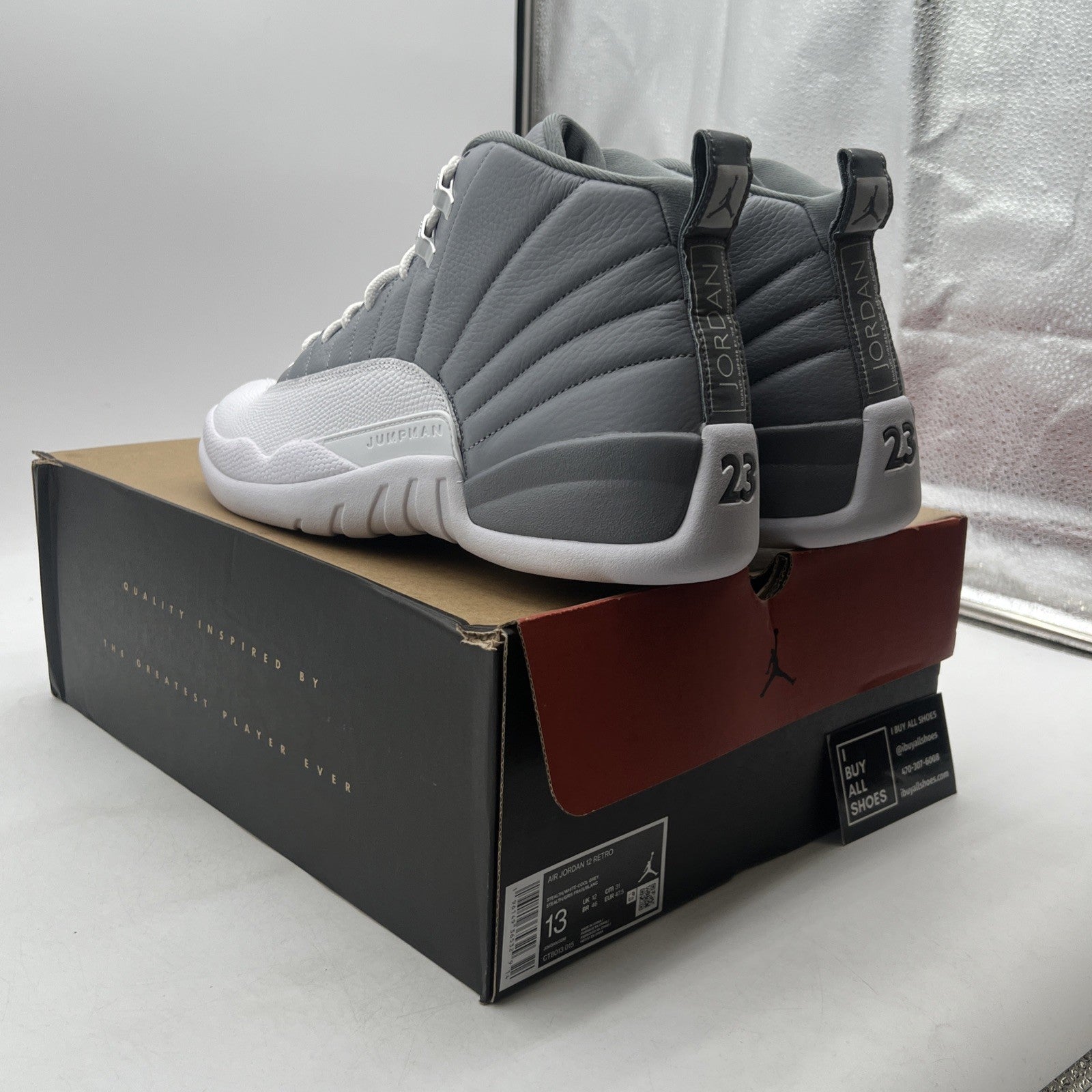 Size 13 - Air Jordan 12 Stealth 2022 (CT8013-015)