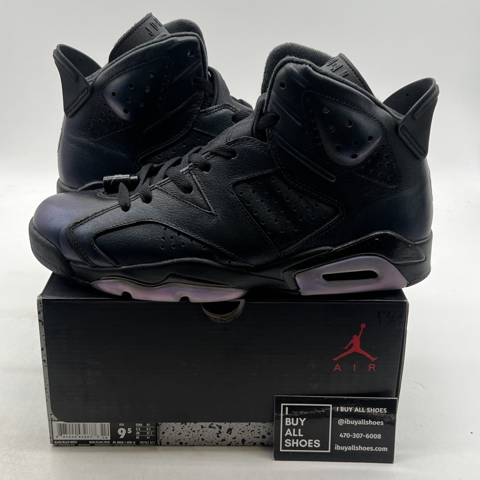 Size 9.5 - Air Jordan 6 Retro All Star - Chameleon (907961-015)