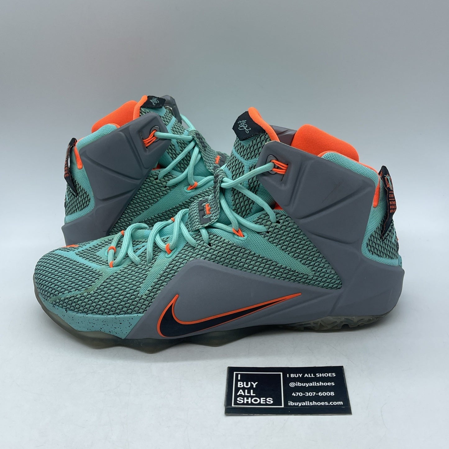 Size 13 - Nike LeBron 12 NSRL (684593-301)
