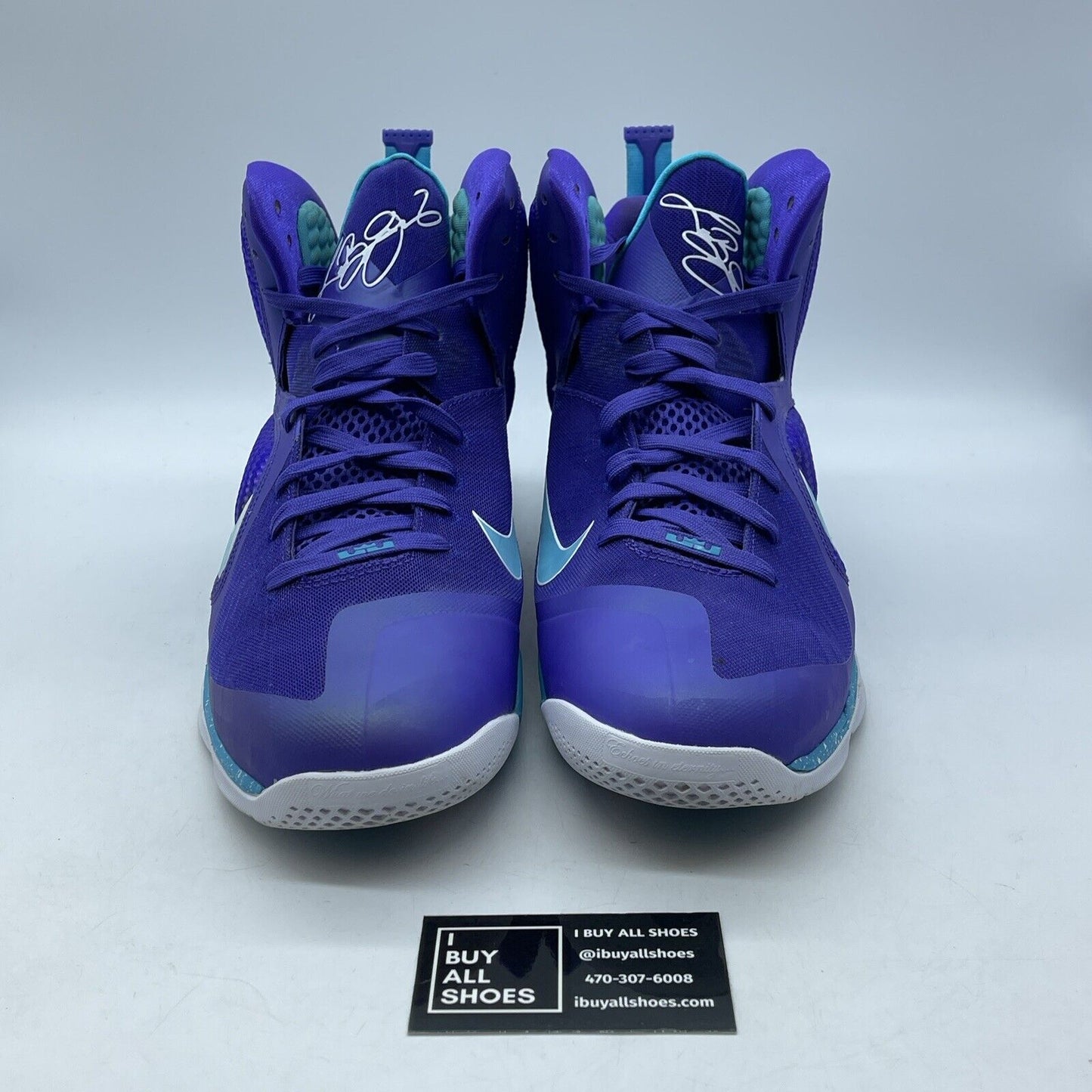 Size 13 - Nike LeBron 9 Summit Lake Hornets Purple Blue White (469764-500)