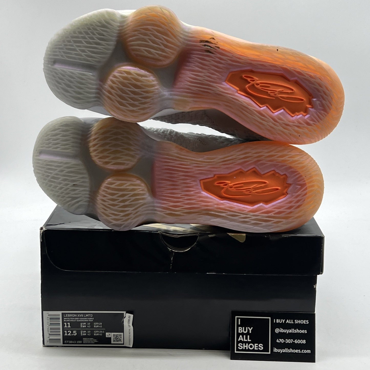 Size 11 - Nike LeBron 17 LMTD Future Air (CT3843-100)