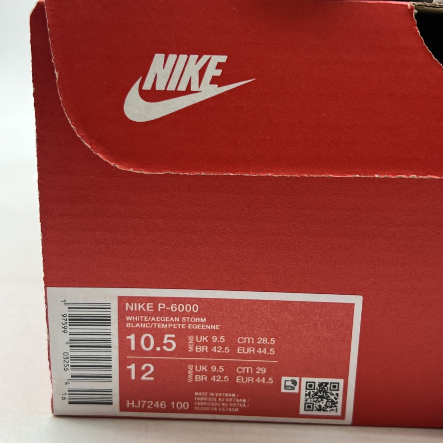 Size 10.5 - Nike P-6000 Metallic Silver Aegean Storm (HJ7246-100)