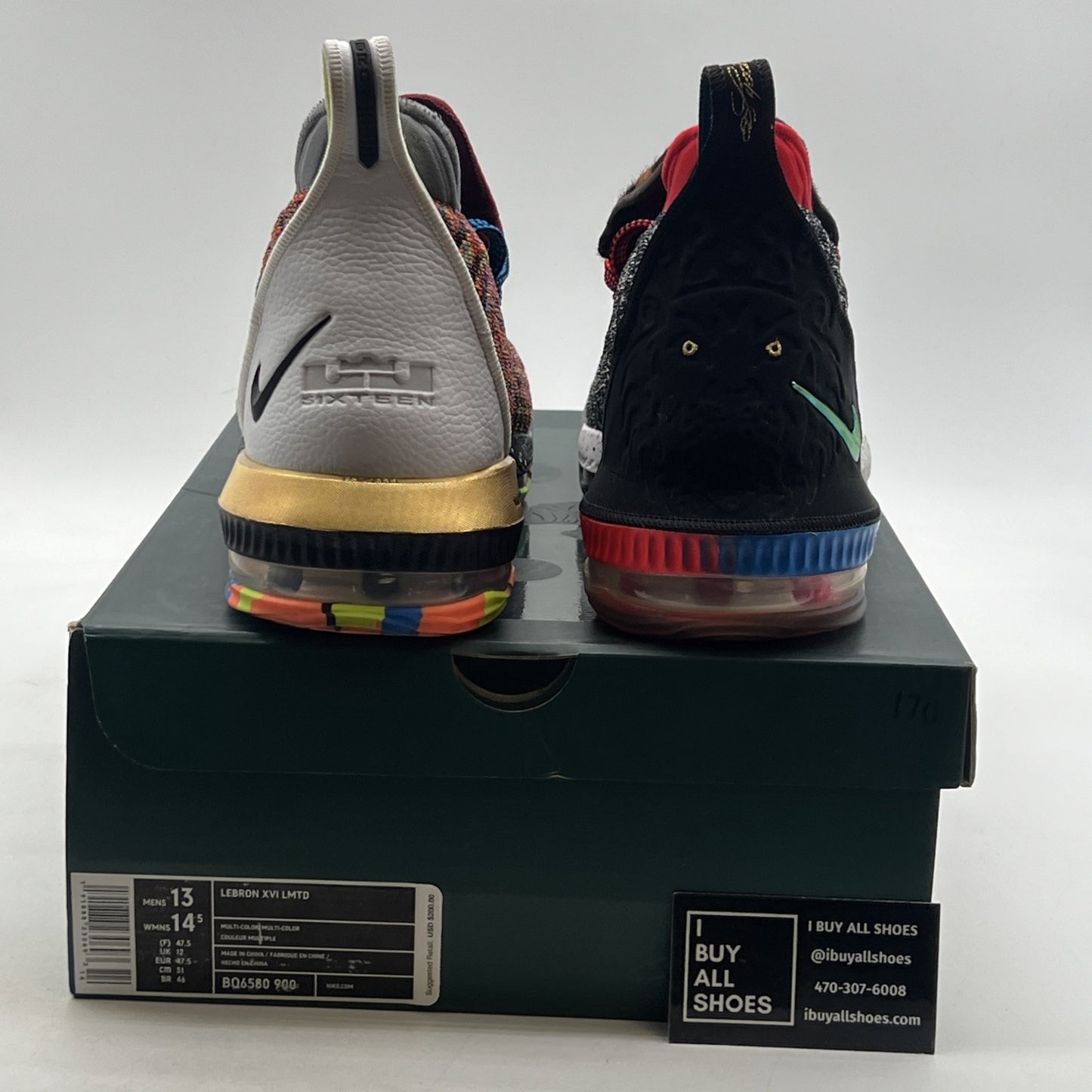 Size 13 - Nike LeBron 16 What The (BQ6580-900)