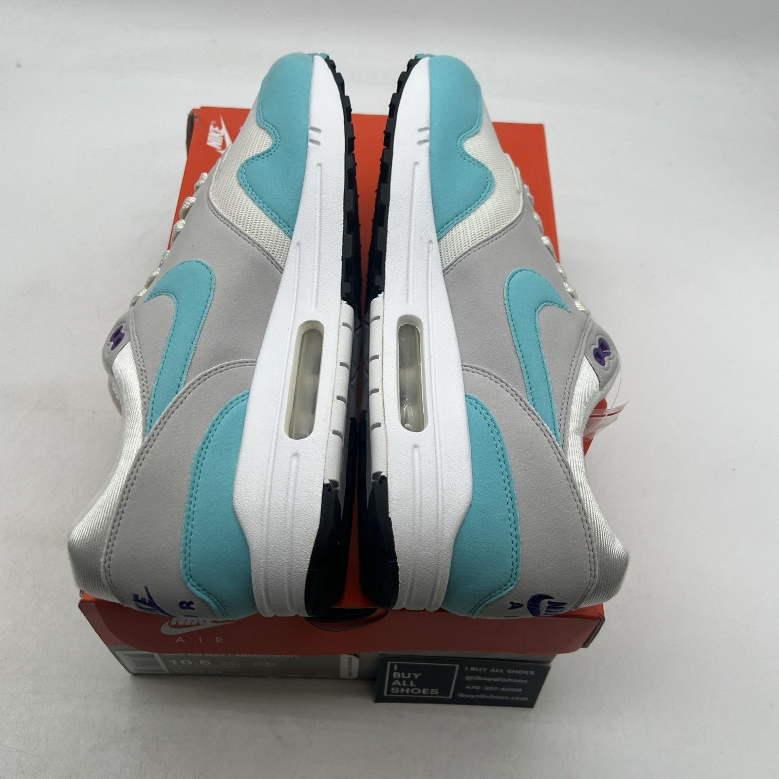 Size 10.5 - Nike Air Max 1 OG Anniversary Aqua (908375-105)