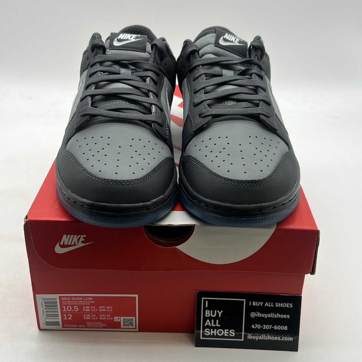 Size 10.5 - Nike Dunk Low Anthracite (FV0384-001)