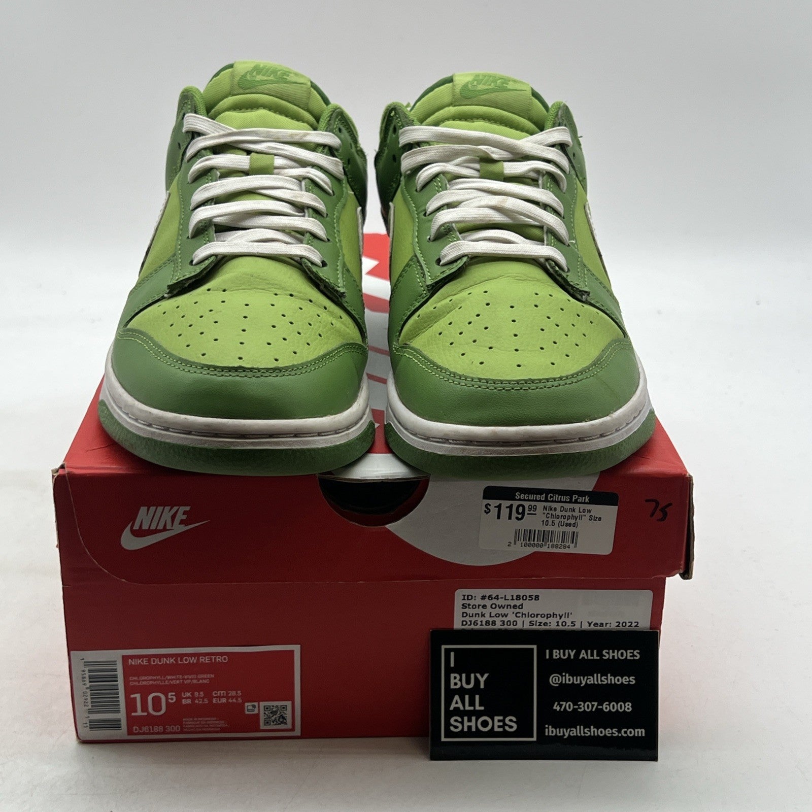 Size 10.5 - Nike Dunk Low Chlorophyll (DJ6188-300)