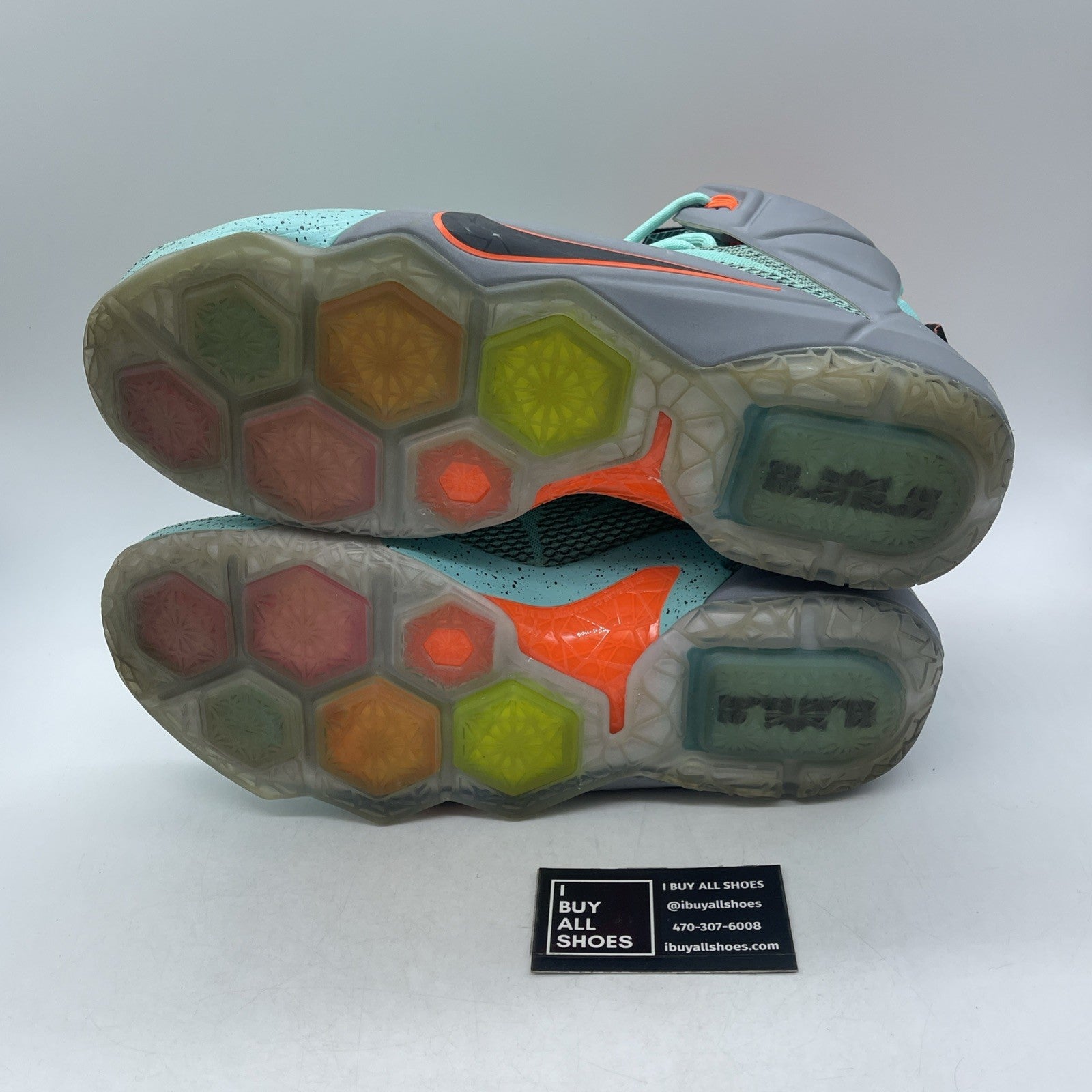 Size 13 - Nike LeBron 12 NSRL (684593-301)