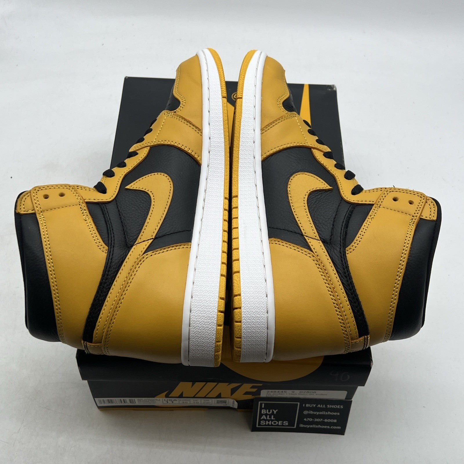 Size 11 - Air Jordan 1 Retro OG High Pollen (555088-701)