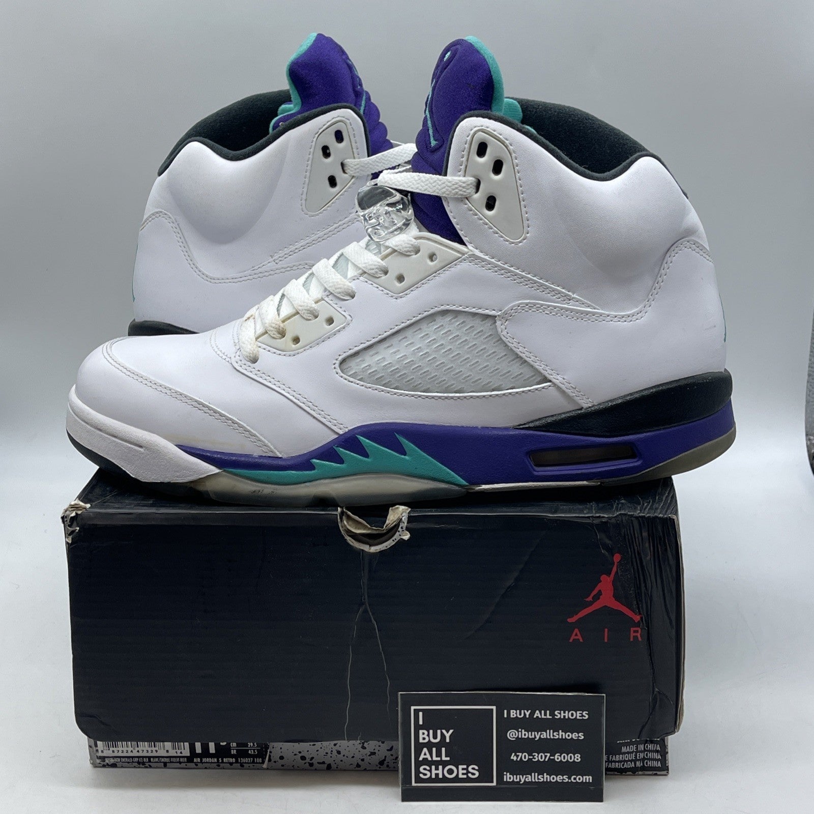 Size 11.5 - Air Jordan 5 Retro 2025 Grape (136027-108)