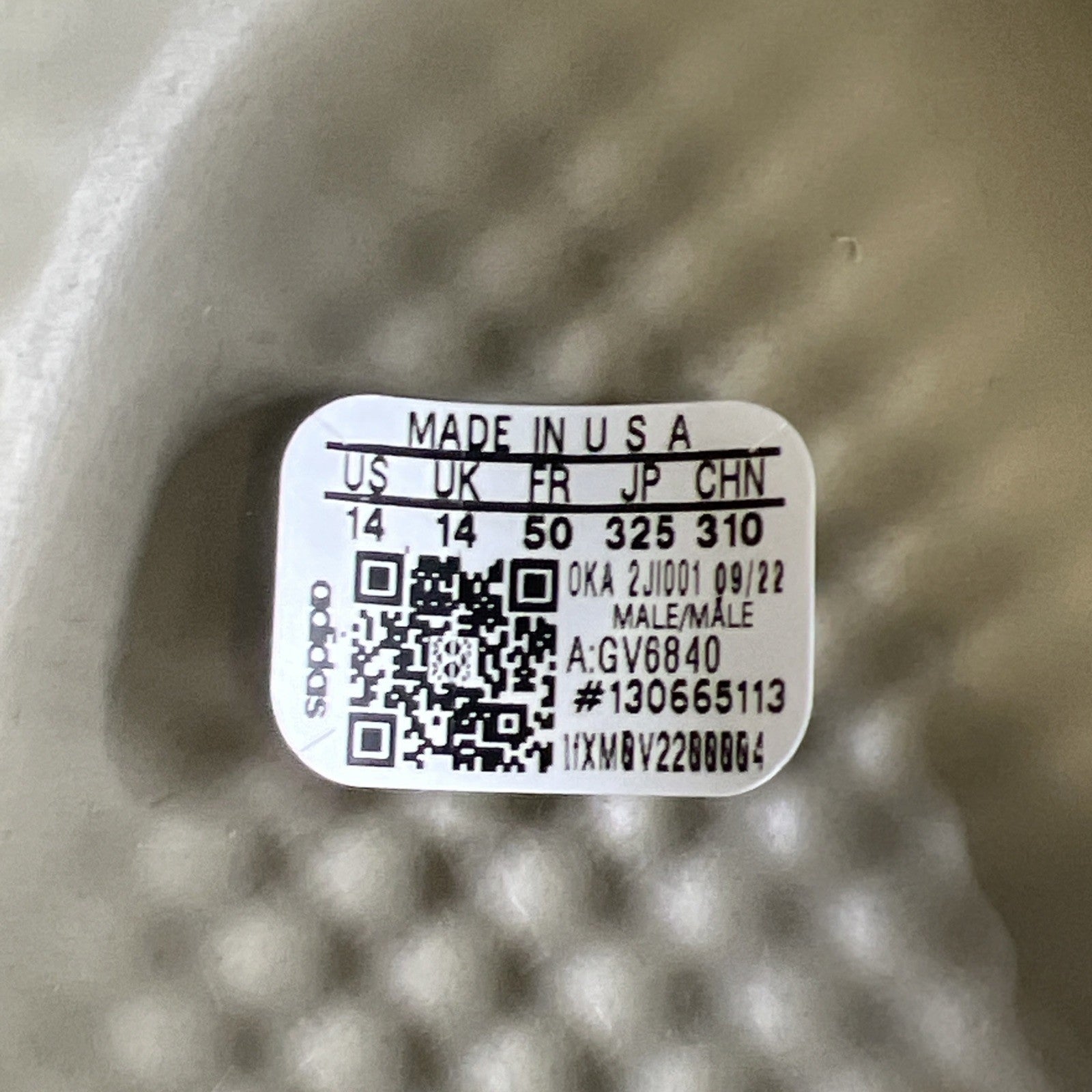 Size 14 - adidas Yeezy Foam RNR Stone Salt (GV6840)
