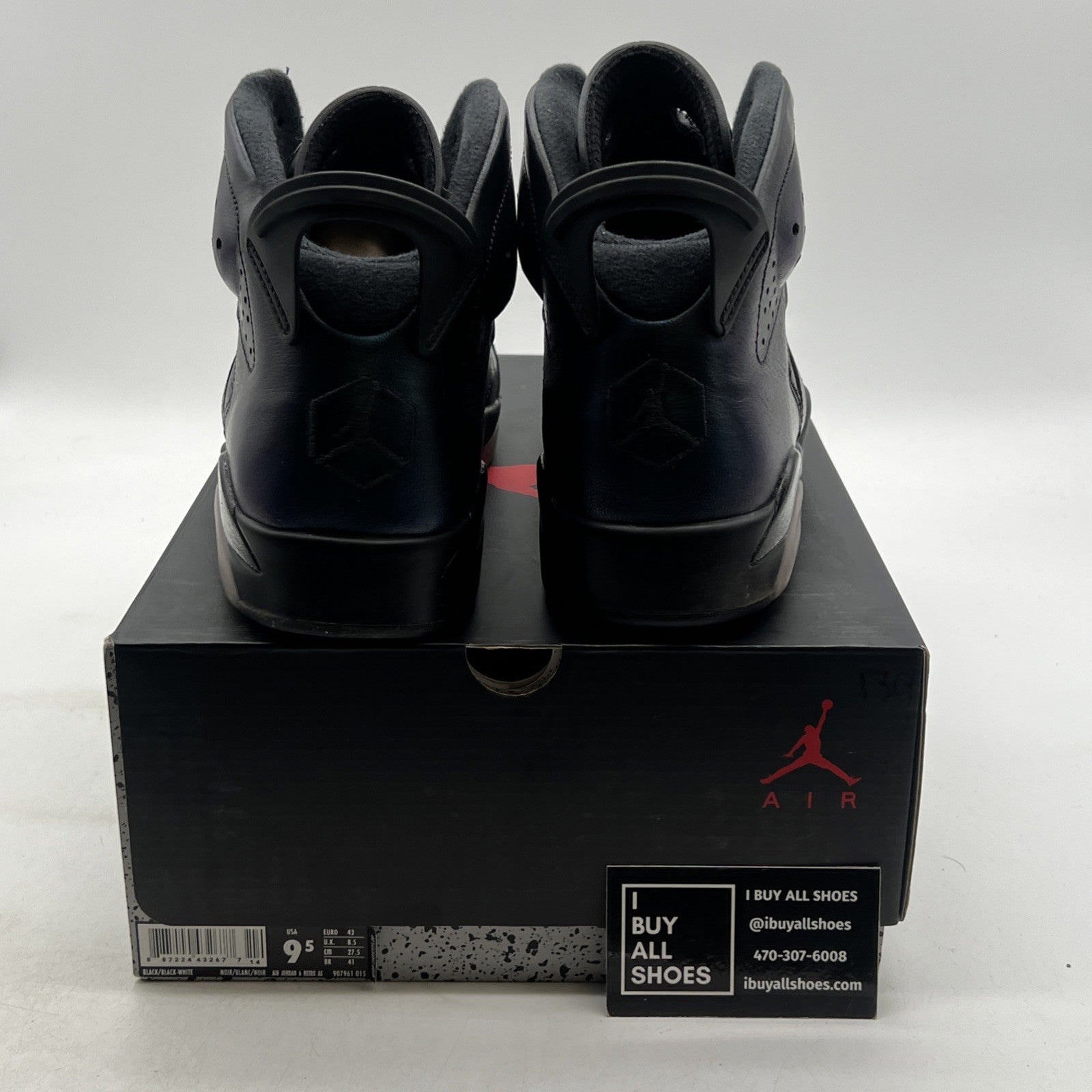 Size 9.5 - Air Jordan 6 Retro All Star - Chameleon (907961-015)