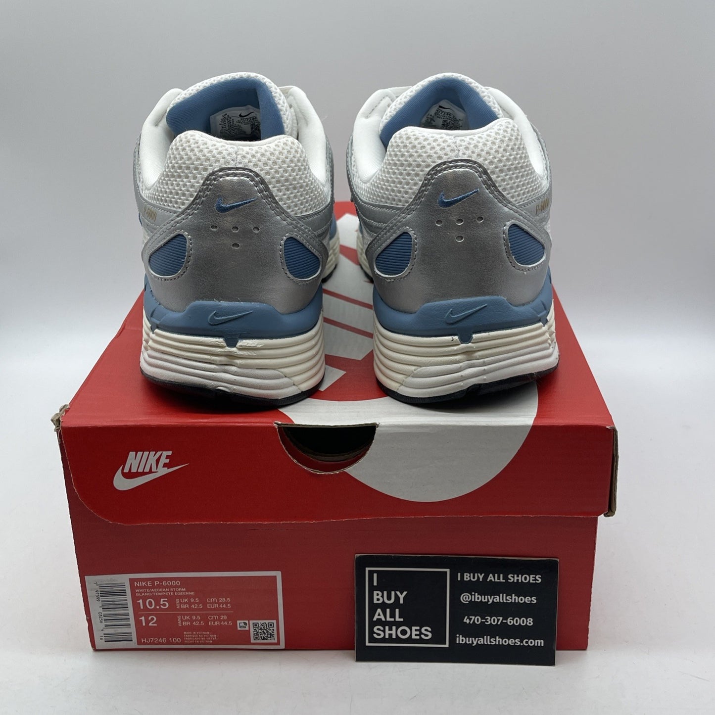 Size 10.5 - Nike P-6000 Metallic Silver Aegean Storm Leather (HJ7246-100)