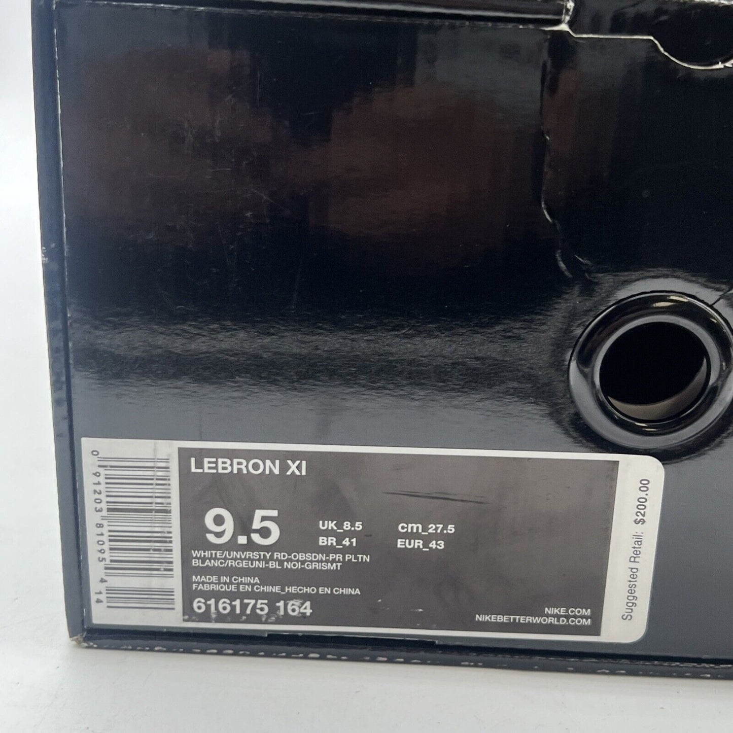 Size 9.5 - Nike LeBron 11 Independence Day (616175-164)