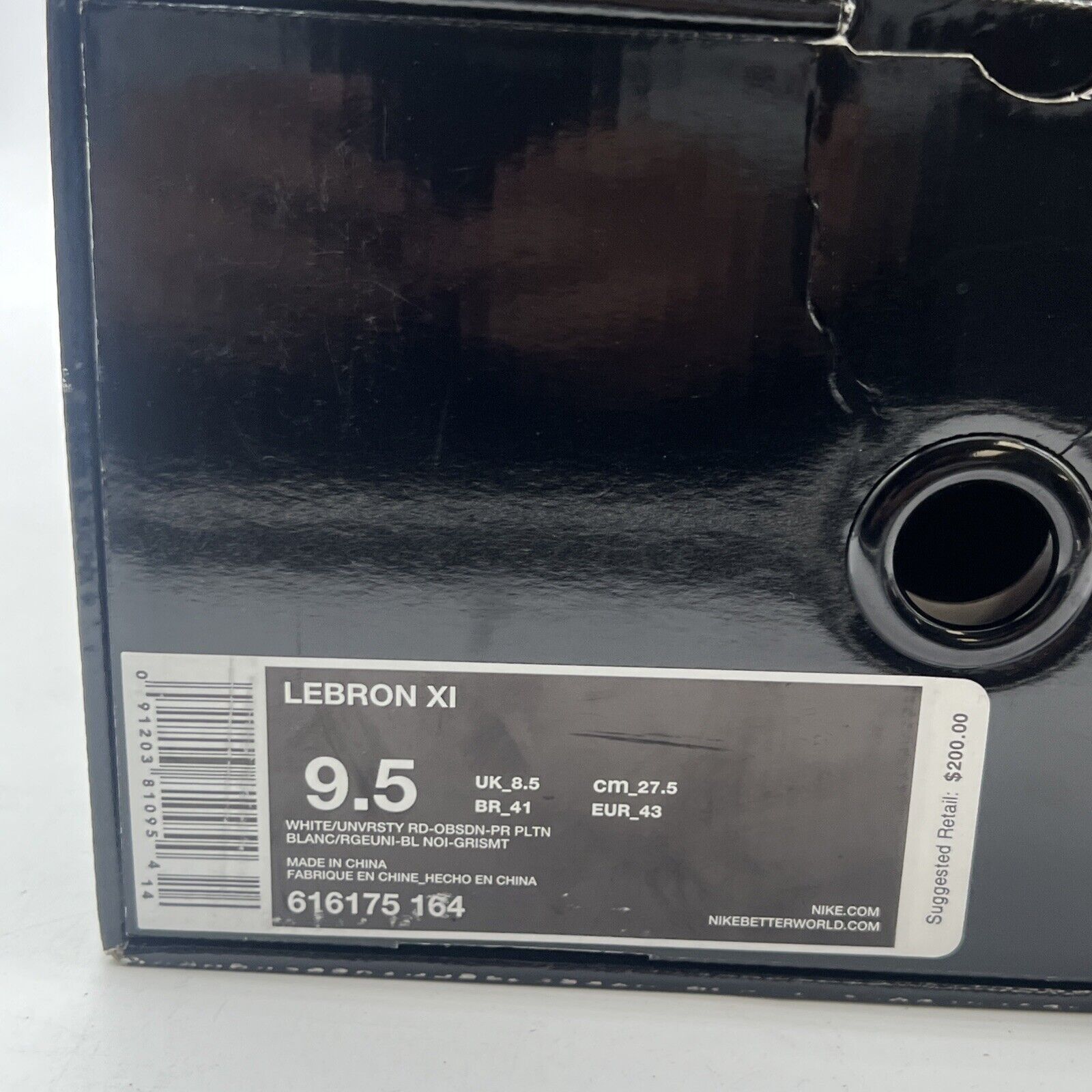 Size 9.5 - Nike LeBron 11 Independence Day (616175-164)