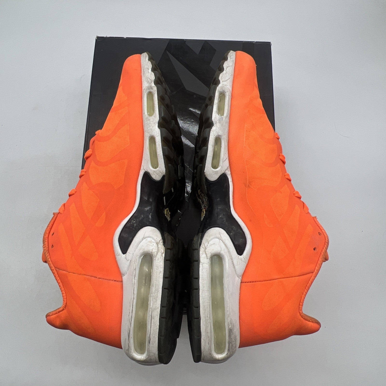 Size 11.5 - Nike Air Max Plus Big Logo (AJ7181-800)