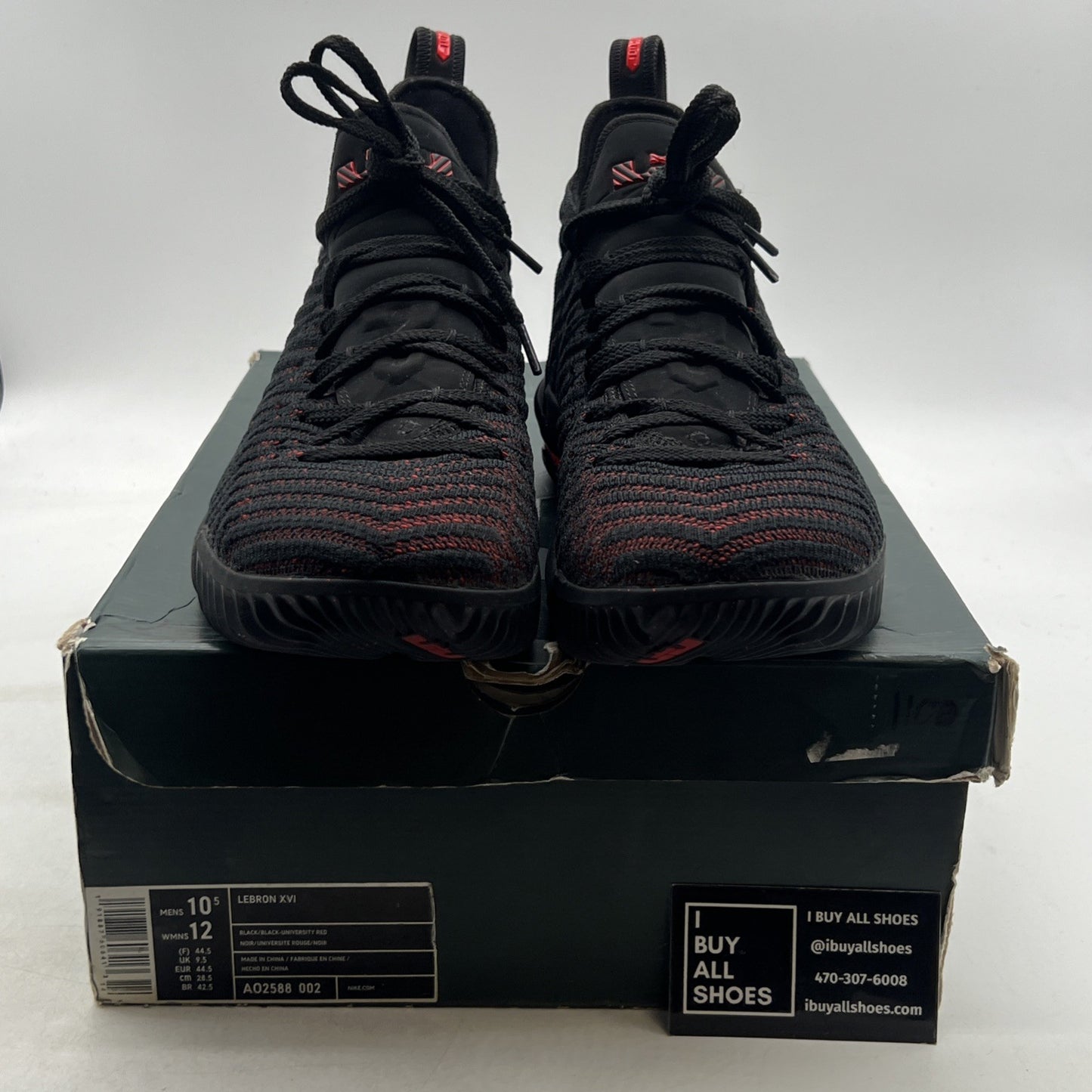 Size 10.5 - Nike LeBron 16 Fresh Bred (AO2588-002)