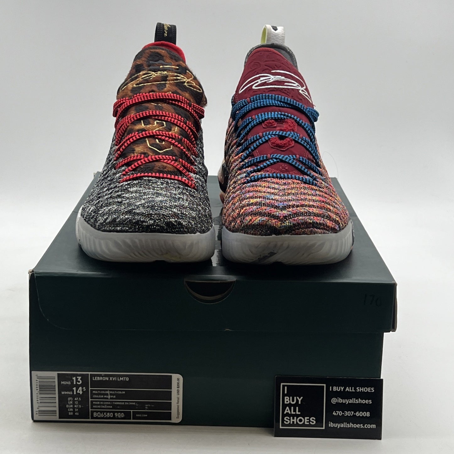 Size 13 - Nike LeBron 16 What The (BQ6580-900)
