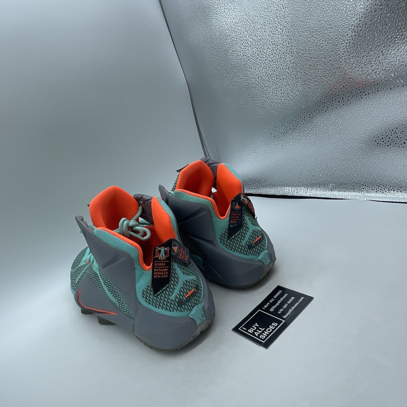 Size 13 - Nike LeBron 12 NSRL (684593-301)