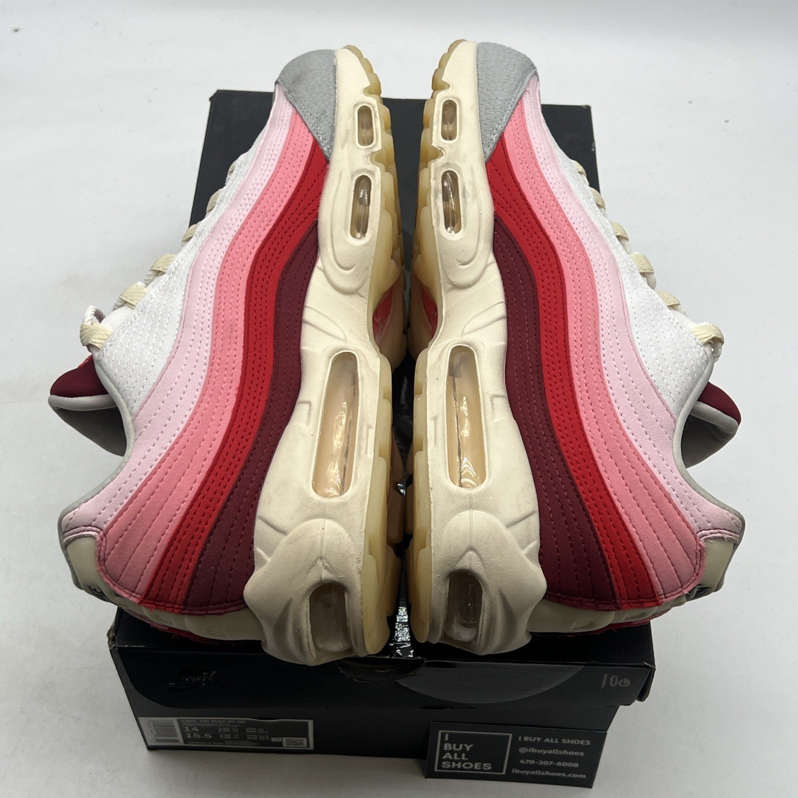 Size 14 - Nike Air Max 95 Anatomy Of Air (DM0012-600)