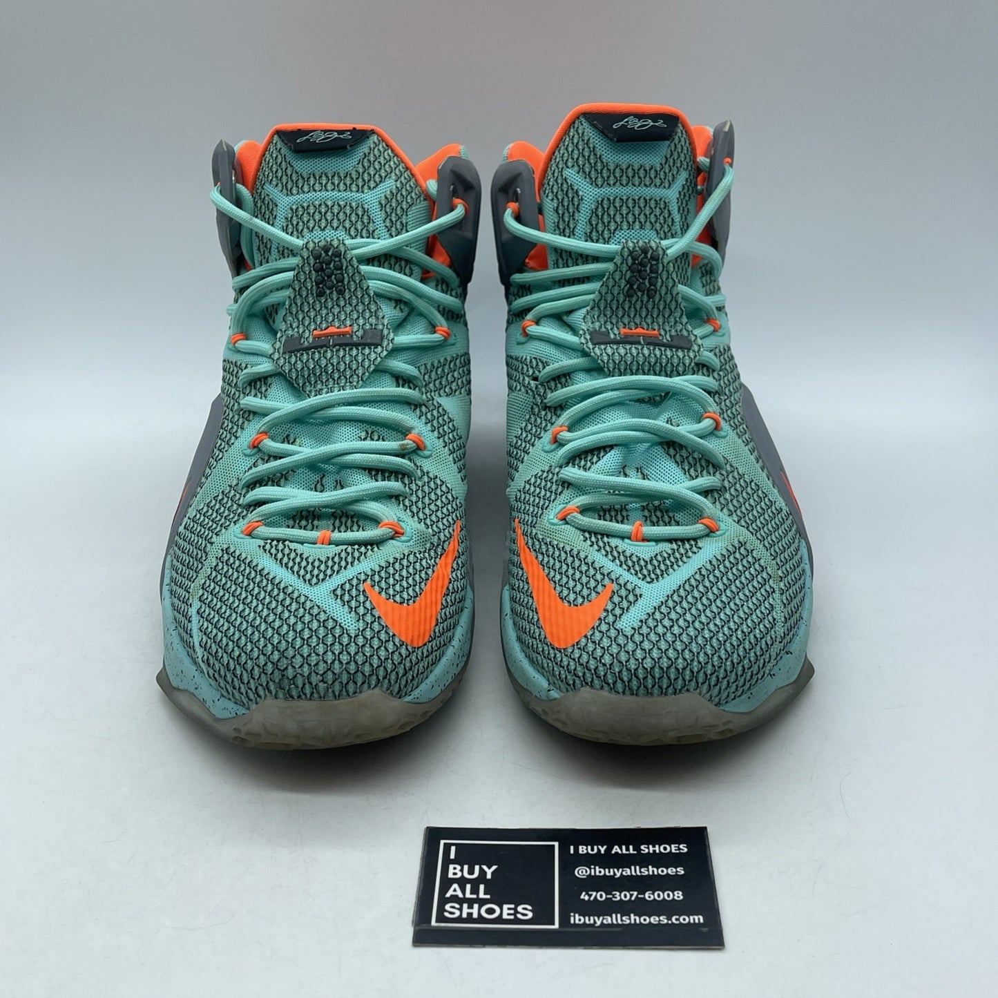 Size 13 - Nike LeBron 12 NSRL (684593-301)