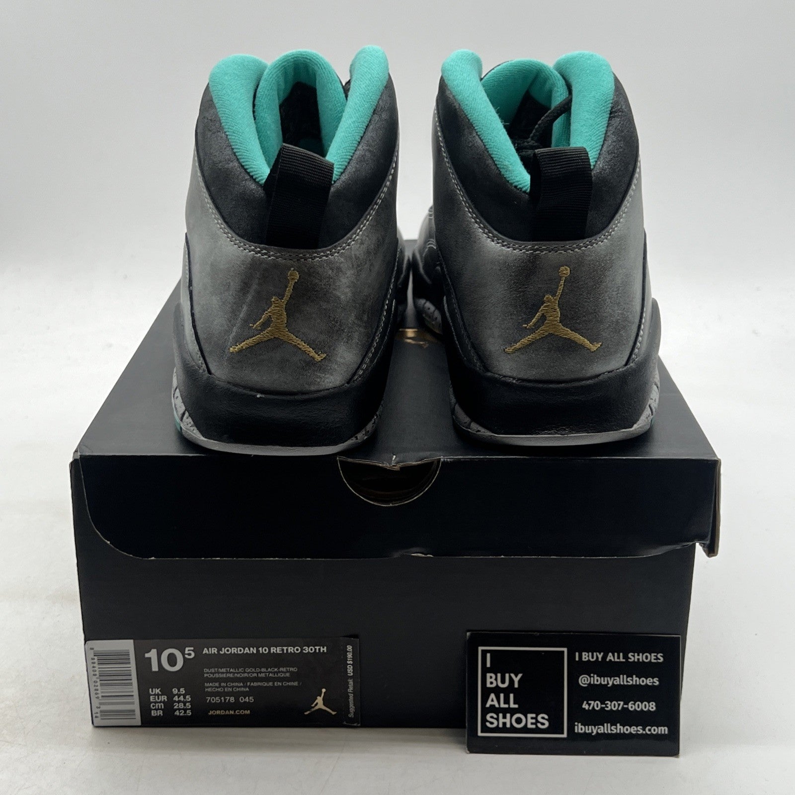 Size 10.5 - Air Jordan 10 Retro Lady Liberty (705178-045)