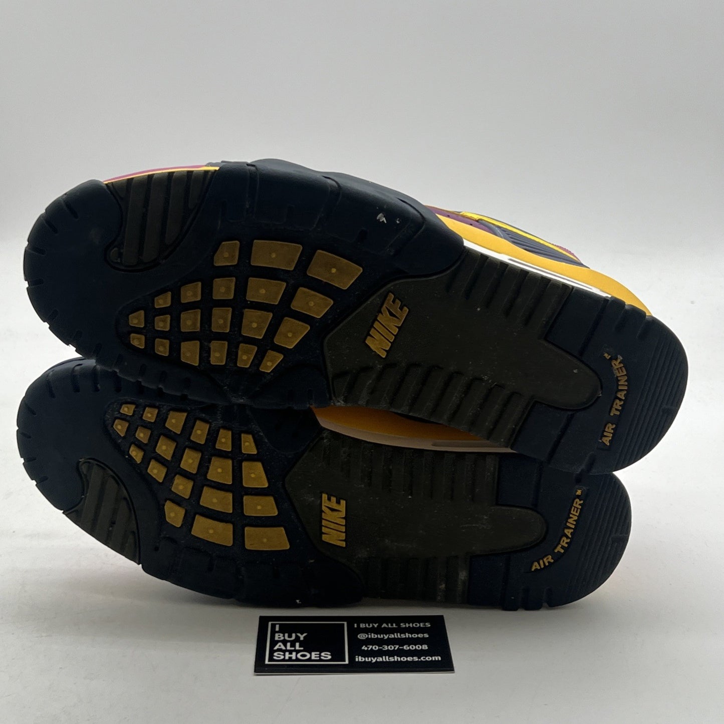 Size 10.5 - Nike Air Trainer 3 Retro 2020 Viotech (CZ6393-500)