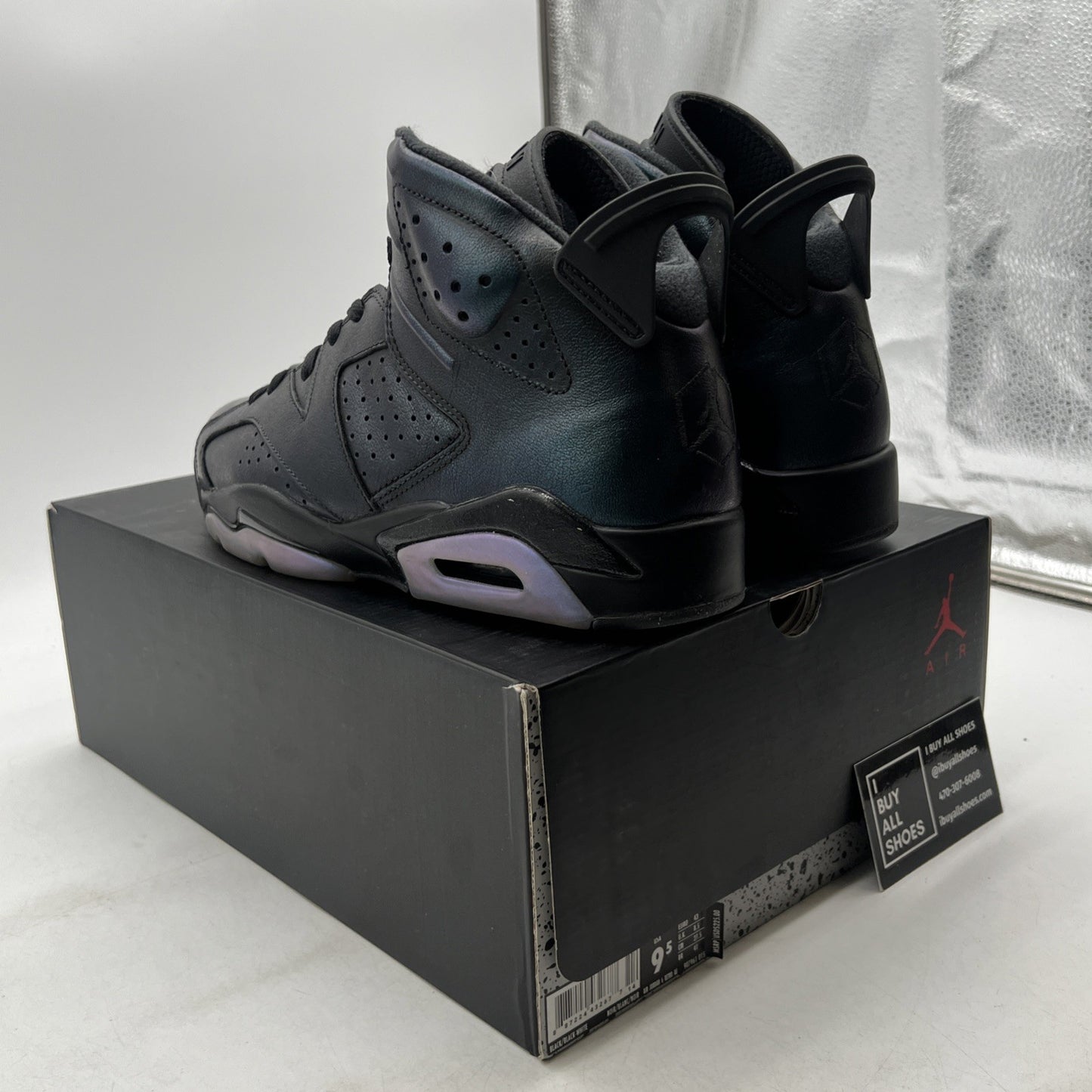 Size 9.5 - Air Jordan 6 Retro All Star - Chameleon (907961-015)